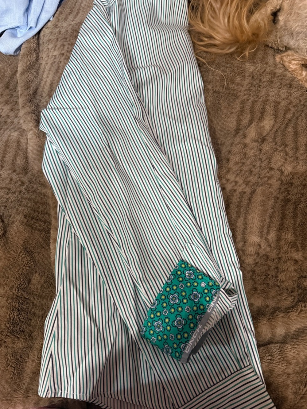 Cinch Women's Button Down Shirt in White with Green & Black Stripes